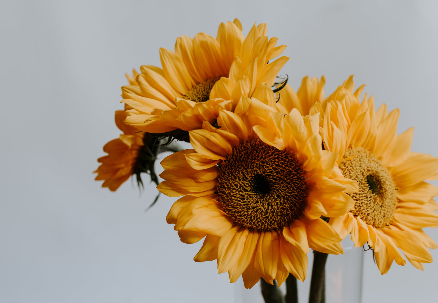 まつげにもUV対策が必要?紫外線からまつげを守る方法